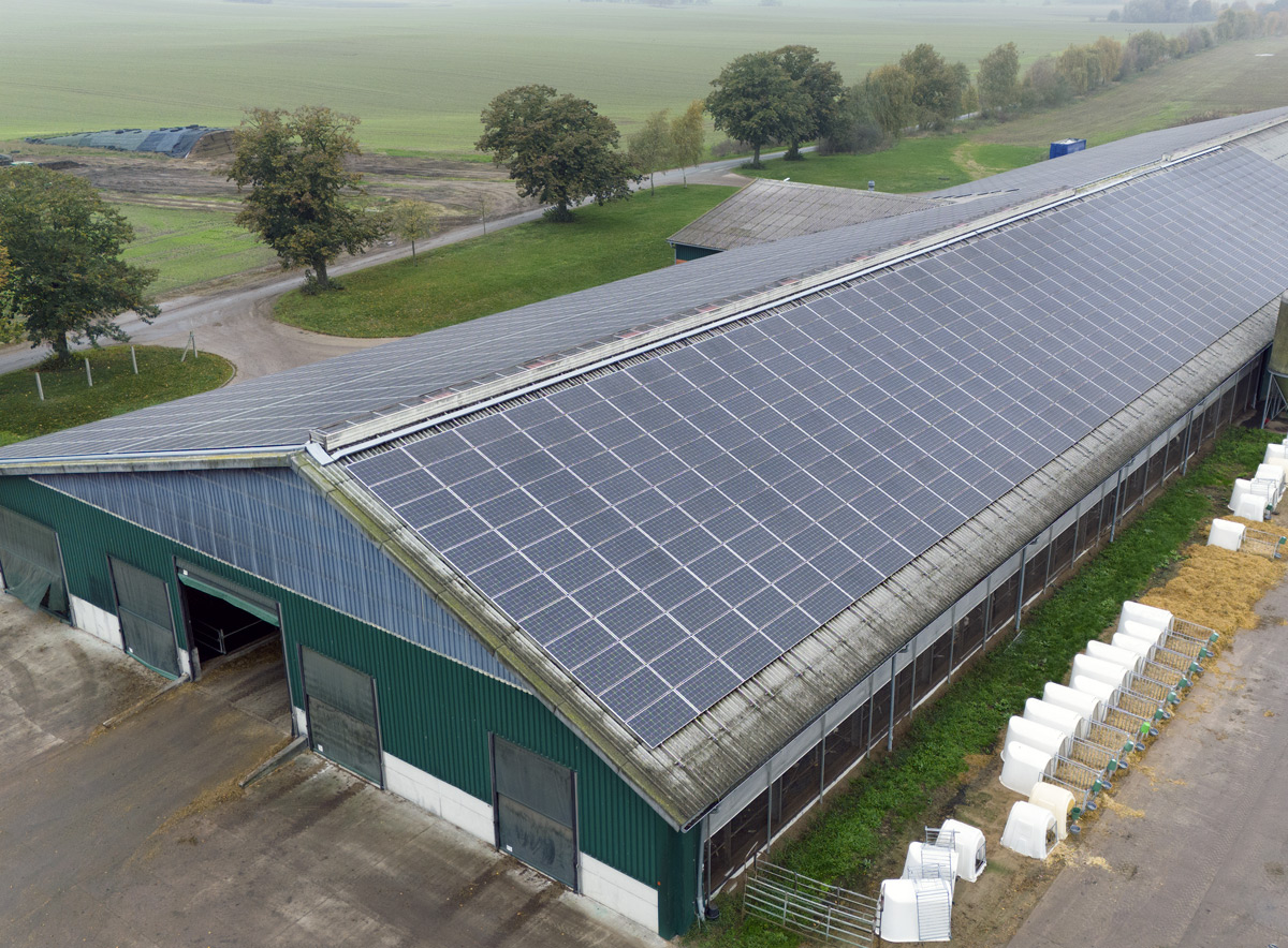 Distact energy argentina fotovoltaica