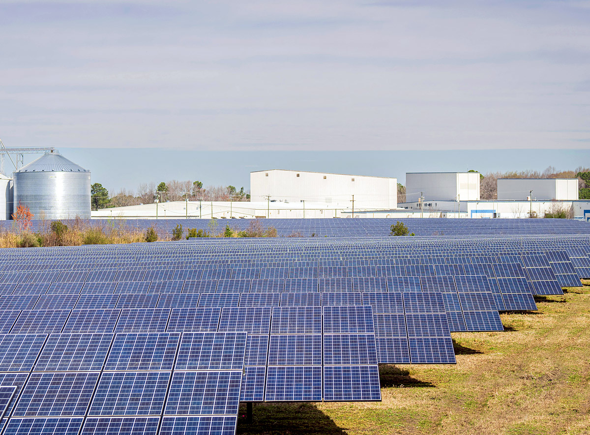 Distact energy argentina fotovoltaica